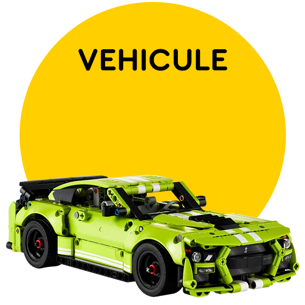 VEHICULE