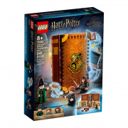 LEGO Harry Potter Moment Hogwarts: Lecția de transfigurare (76382) 