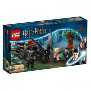 LEGO Harry Potter Hogwarts™ Trăsura și caii Thestral de la Hogwarts™ (76400) 