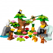 LEGO DUPLO® Animale sălbatice din America de Sud (10973) 