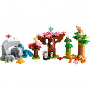 LEGO DUPLO® Animale sălbatice din Asia (10974) 