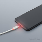 Delight silver USB Type-C data cable with LED light 1m 