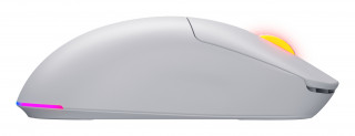 HATOR Quasar 3 Wireless mouse-uri Gaming Ambidextru RF Wireless + Bluetooth + USB Type-A Optice 12000 DPI PC