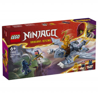 LEGO Ninjago Tânărul dragon Riyu (71810) Jucărie