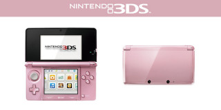 Nintendo 3DS (Roz) + Nintendogs & Cats Golden Retriever and New Friends 3DS
