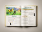 The Legend of Zelda: Tears of the Kingdom Piggyback Guide - Ediția Standard thumbnail