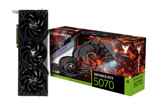 Gainward GeForce RTX 5070 Phoenix NVIDIA 12 Giga Bites GDDR7 PC