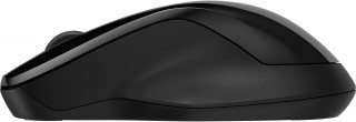 HP Mouse 250 Dual PC