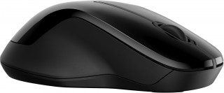 HP Mouse 250 Dual PC