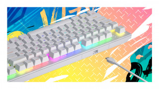 HATOR Gravity X TKL tastaturi Gaming USB QWERTY Engleză SUA Alb PC