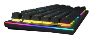 HATOR Gravity X TKL tastaturi Gaming USB QWERTY Engleză SUA Negru PC