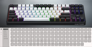 HATOR Rockfall 3 TKL Wireless tastaturi Gaming USB + RF Wireless + Bluetooth QWERTY Ucraineană Negru PC