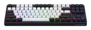 HATOR Rockfall 3 TKL Wireless tastaturi Gaming USB + RF Wireless + Bluetooth QWERTY Ucraineană Negru PC