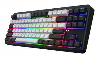 HATOR Rockfall 3 TKL Wireless tastaturi Gaming USB + RF Wireless + Bluetooth QWERTY Ucraineană Negru PC