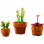 LEGO Icons: Plante de mici dimensiuni 10329 thumbnail