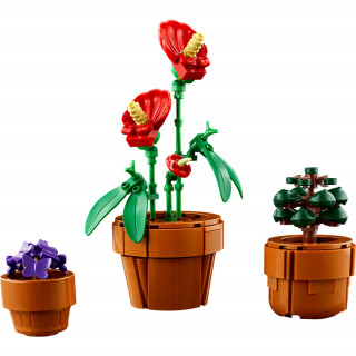 LEGO Icons: Plante de mici dimensiuni 10329 Jucărie