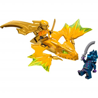 LEGO Ninjago: Atacul dragonului zburator a lui Arin (71803) Jucărie