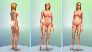 The Sims 4 PC