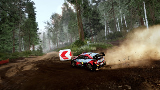 WRC 10 FIA World Rally Championship PC