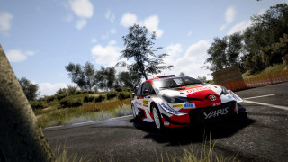 WRC 10 FIA World Rally Championship PS4