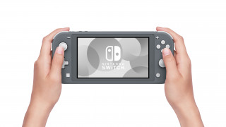 Nintendo Switch Lite (Gri) Nintendo Switch