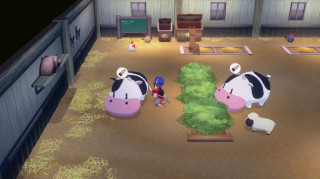 Story of Seasons Grand Bazaar Limited Edition Nintendo Switch 2